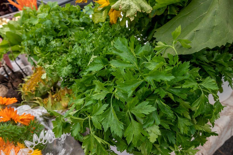 Garden Fresh Salad with mixed greens and seasonal vegetables